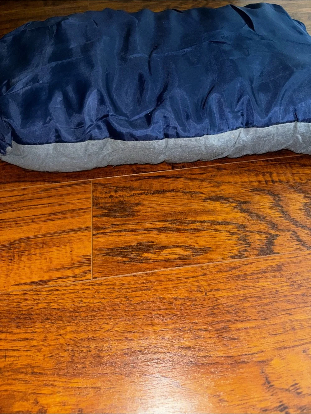 Magellan Outdoors Large Plush Camp Pillow Navy Blue Cotton Flannel Travel in Bag
